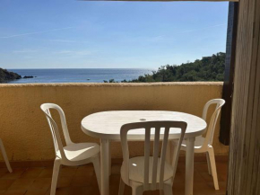 Appart 2P/Cabine, 4 Couchages, Plage, Parking, Animaux admis - FR-1-225C-149